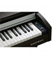 KURZWEIL M110 SR