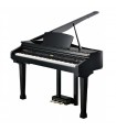 KURZWEIL KAG-100 EP