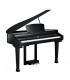 KURZWEIL KAG-100 EP