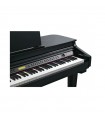 KURZWEIL KAG-100 EP