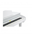 KURZWEIL KAG-100 WHP