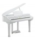 KURZWEIL KAG-100 WHP