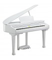 KURZWEIL KAG-100 WHP
