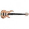 IBANEZ BTB1205E NTF