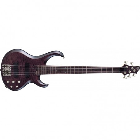 IBANEZ BTB405QM TK