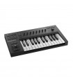 NATIVE INSTRUMENTS KOMPLETE KONTROL A25