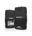 ZOOM H2n