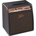 PEAVEY ECOUSTIC 110 EFX