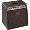 PEAVEY ECOUSTIC 110 EFX