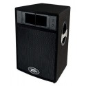 PEAVEY ST 15