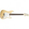 FENDER HIGHWAY 1 STRATOCASTER RW HB