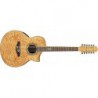 IBANEZ EW2012ASE NT