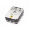 FISHMAN AFX PEDAL REVERB