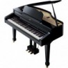 ROLAND RG3PE