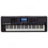ROLAND EXR40OR