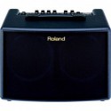 ROLAND AC60