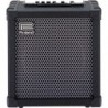 ROLAND CUBE60