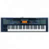 ROLAND E09