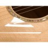 TAYLOR PICKGUARD CLEAR REUSEABLE
