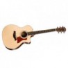 TAYLOR 214CE
