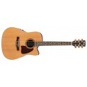 IBANEZ AW15ECE LG