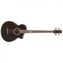 IBANEZ EWB20WNE NT