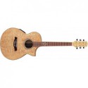 IBANEZ EWC30ASE RLG