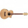 IBANEZ EWC30ASE RLG