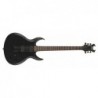SCHECTER DEVIL SBK (E)