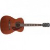 FENDER TIM ARMSTRONG ACOUSTIC