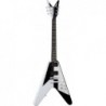 DEAN MICHAEL SCHENKER RETRO