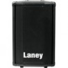 LANEY CT12
