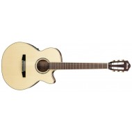 Электроакустическая гитара IBANEZ AEG10NE NT