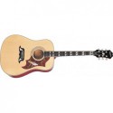 EPIPHONE DOVE NT CH