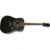 EPIPHONE DR-100 EBONY CH HDWE