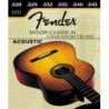 FENDER 100