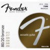 FENDER 70M