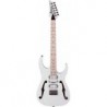 IBANEZ 2005 JPN PGM301